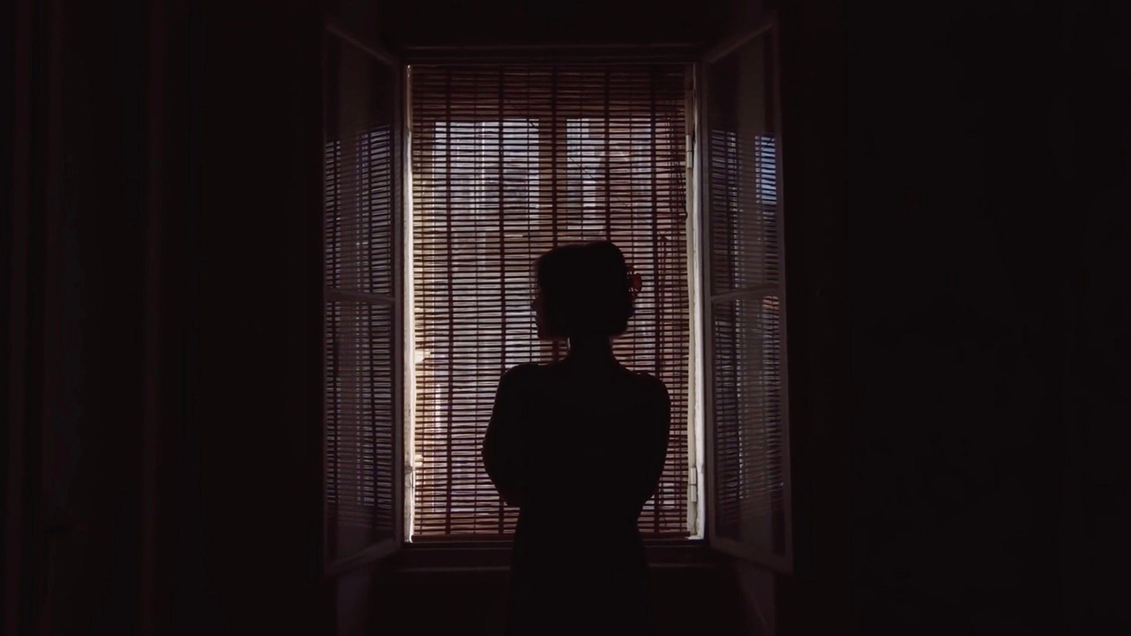 LEVRIERO DEL GALLES - GHIBLI